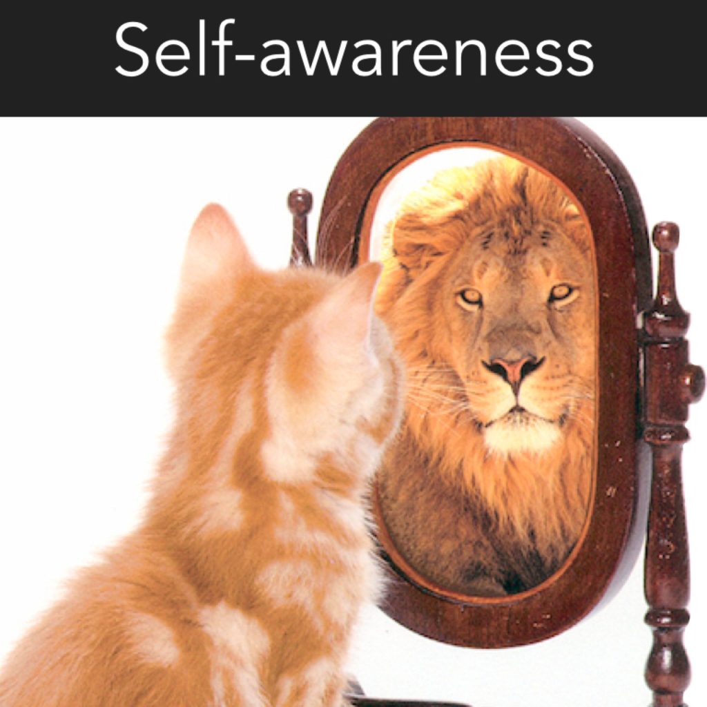 Self Awareness In Leadership Emerging Nurse Leader