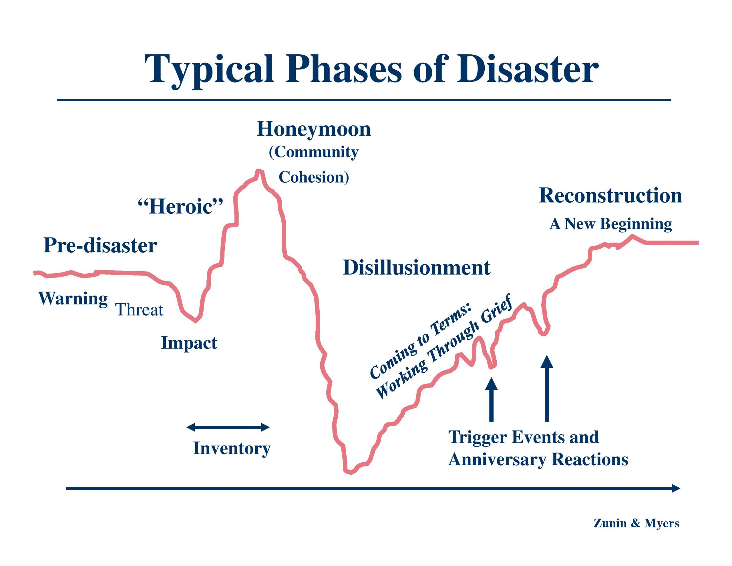 viewing-covid-as-a-healthcare-disaster-emerging-nurse-leader